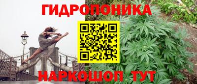 мдпв Конаково