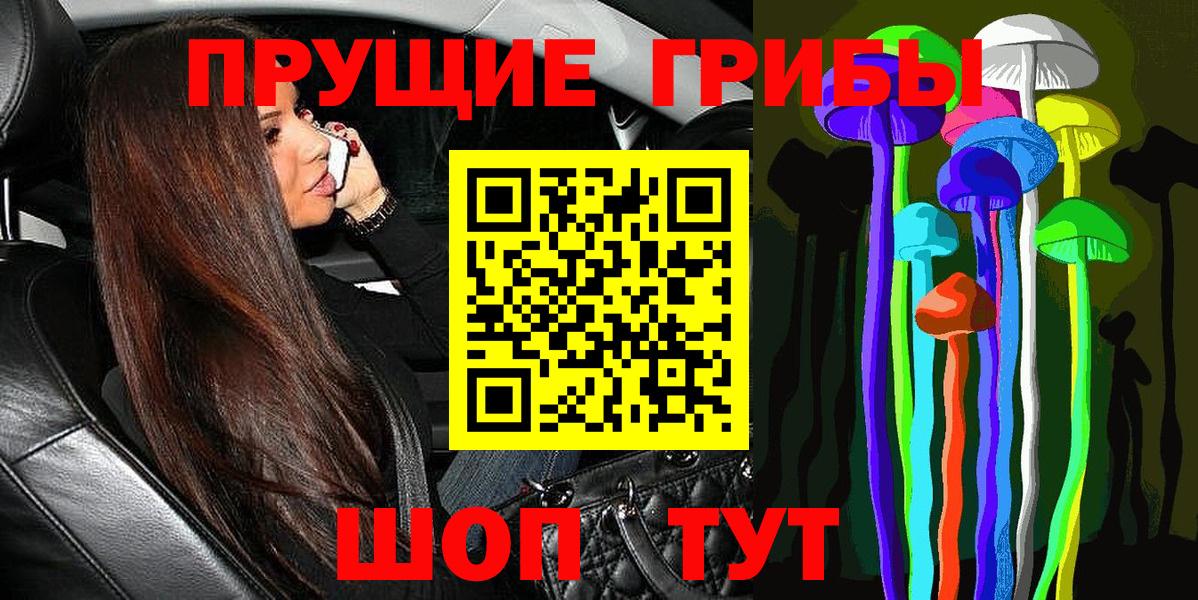 Карачаевск  Псилоцибиновые грибы GOLDEN TEACHER  Вход с VPN 